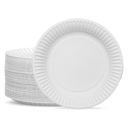 G4gadget monouso 100 piatti - monouso,
